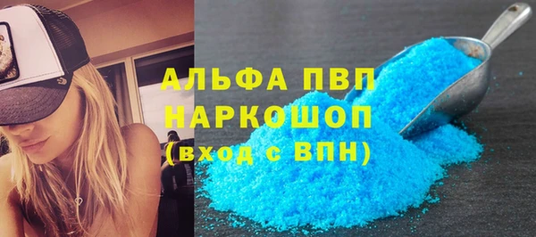 прущие грибы Сафоново