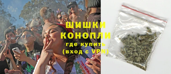 прущие грибы Сафоново