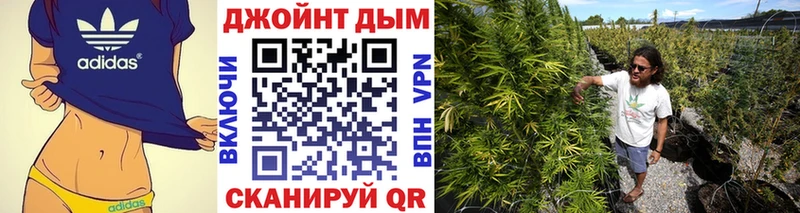 Каннабис план  Спас-Клепики 